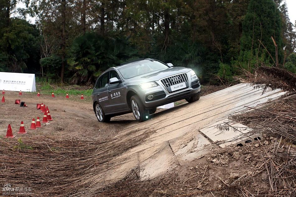 ԼݽڰµQ5