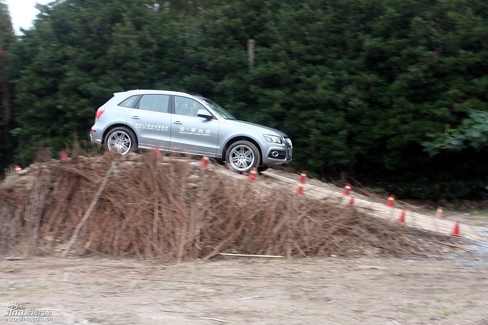 ԼݽڰµQ5