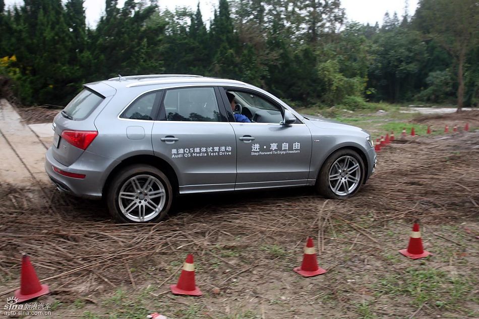 ԼݽڰµQ5
