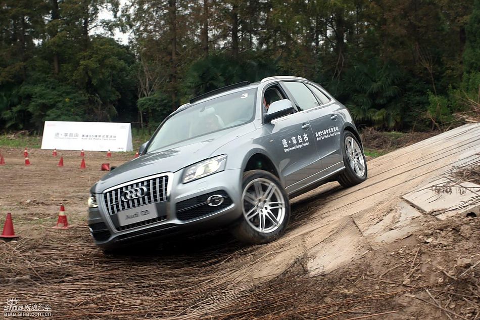 ԼݽڰµQ5