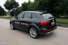 ԼݽڰµQ5