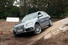 ԼݽڰµQ5