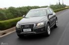 ԼݽڰµQ5