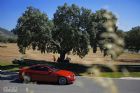 M3 Competition ̬