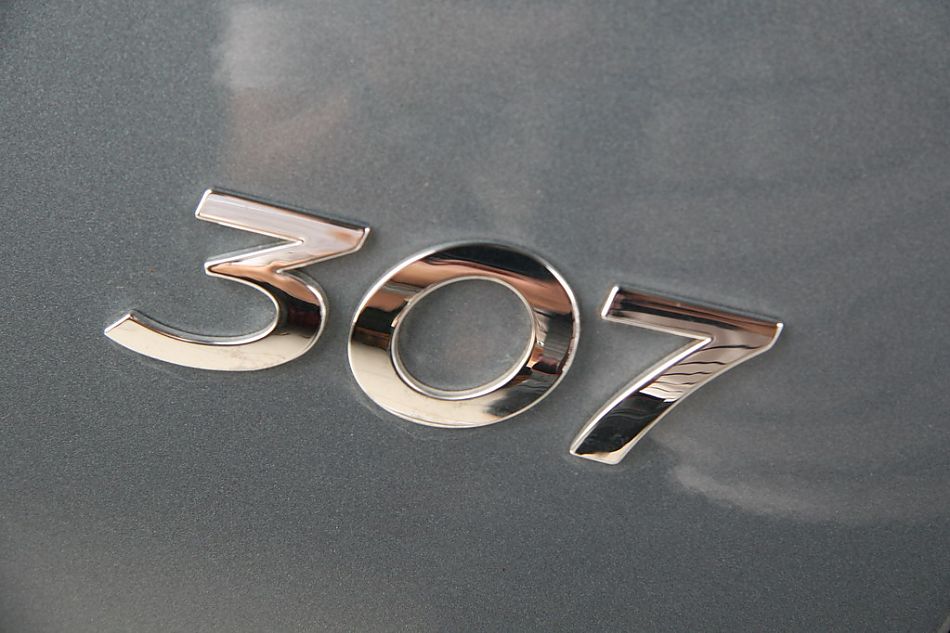 307ϸ