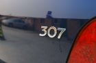 307ϸ