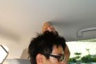 ǵe6 CVT綯