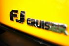 FJ·ϸ
