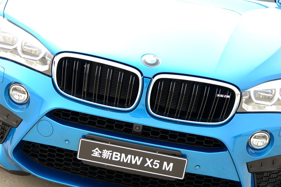 2015 X5 M ϸ
