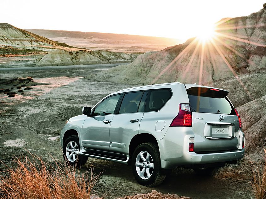 ȫ׿˹GX460