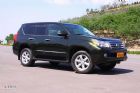 2010׿˹GX460