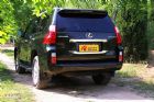 2010׿˹GX460