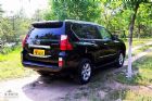 2010׿˹GX460