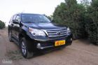 ׿˹GX460