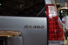 ׿˹GX460
