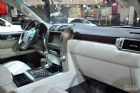 ׿˹GX460
