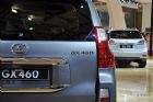 ׿˹GX460