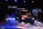 ȫ׿˹GX460