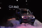 ȫ׿˹GX460
