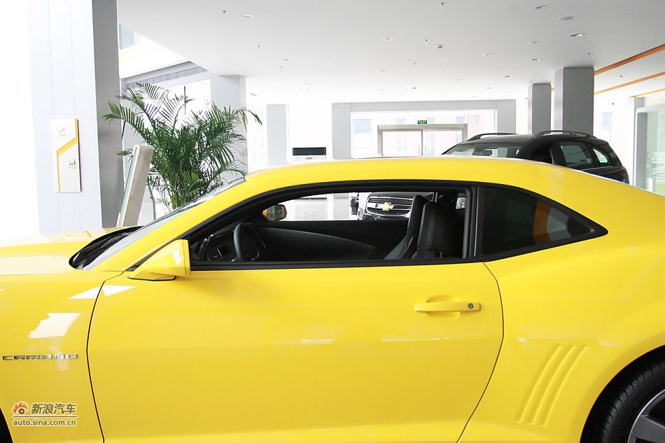 2011ѩ