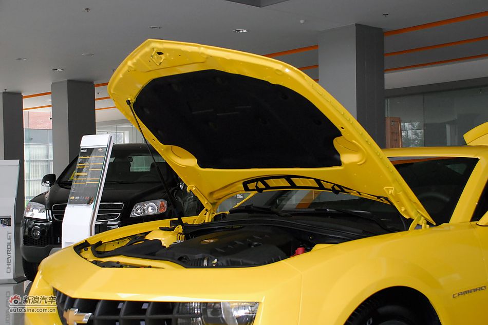 2011ѩ