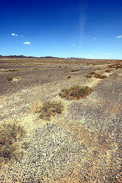 JEEPѰRubicon֮·ʵ